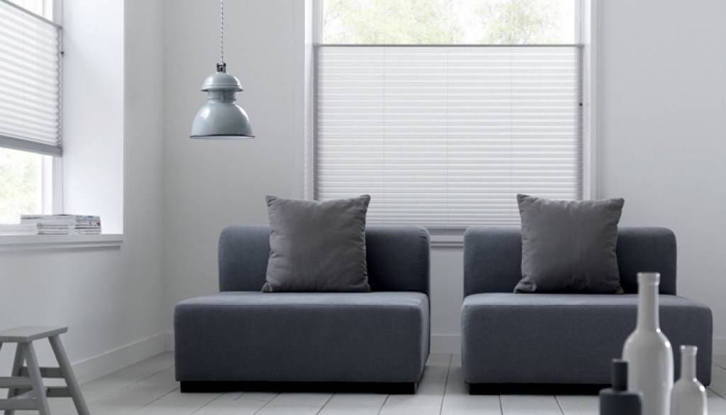 Afbeelding voor Plissé